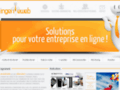Agence web sur Lyon:création de site
